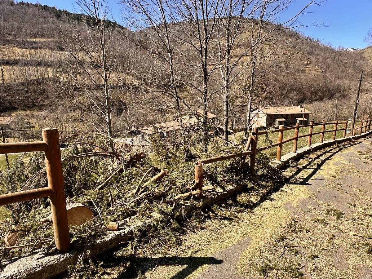 Pep Coma 🎗 tweet media