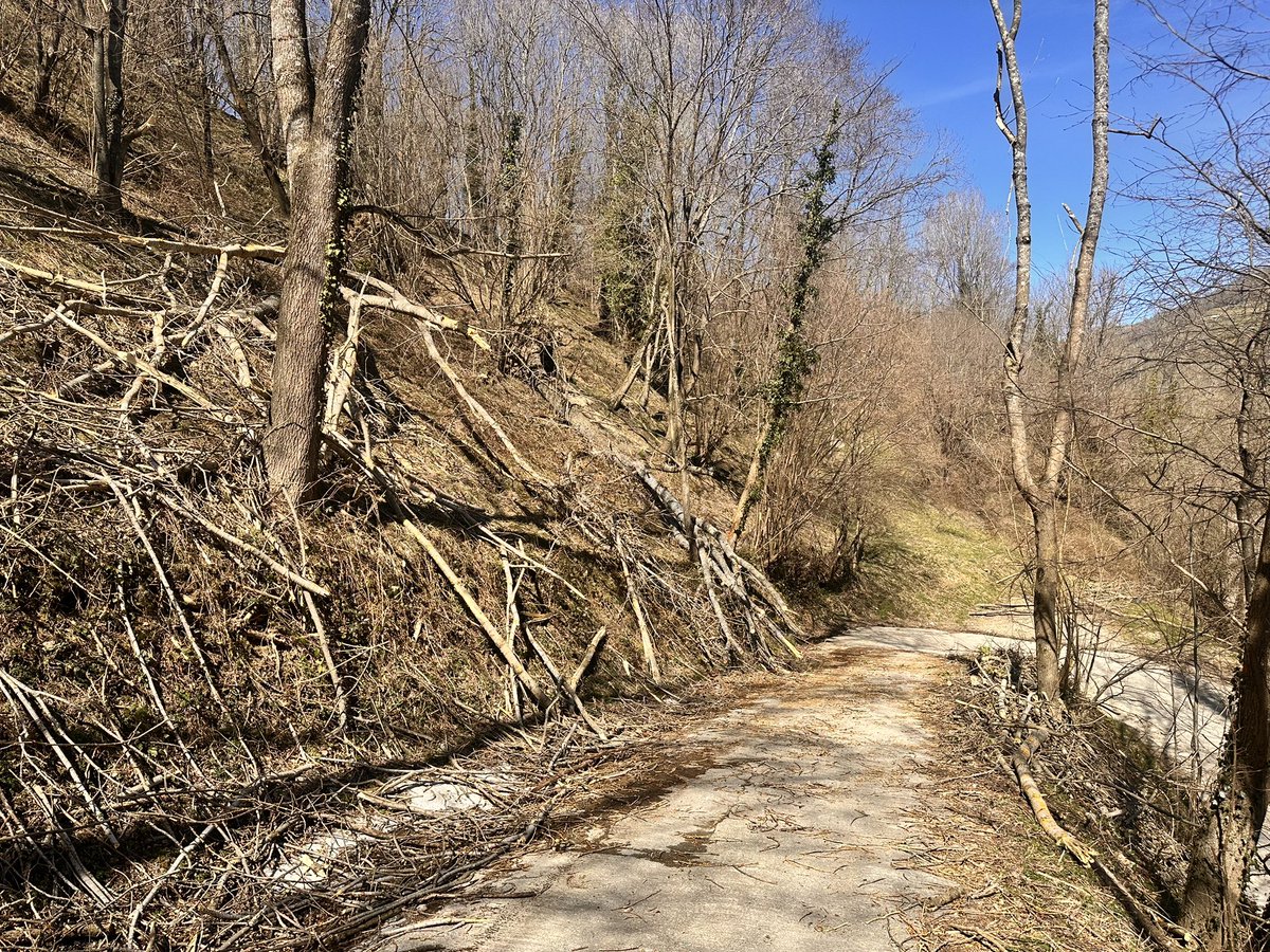 Pep Coma 🎗 tweet media