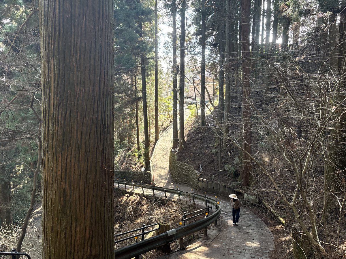 カイロ回路 tweet media