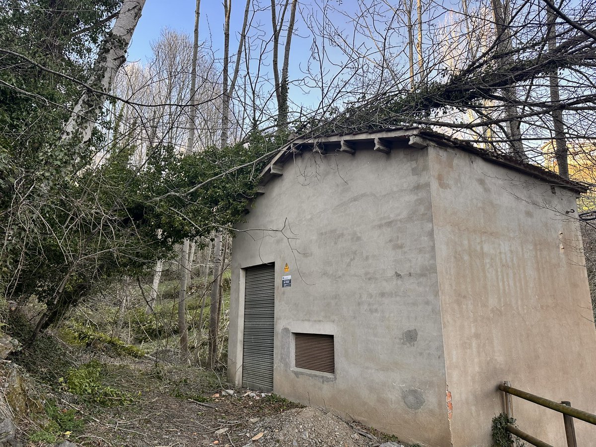 Pep Coma 🎗 tweet media