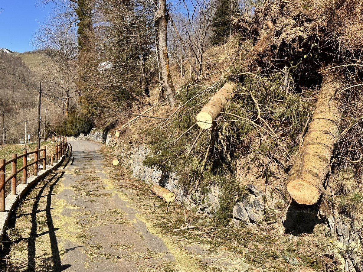 Pep Coma 🎗 tweet media