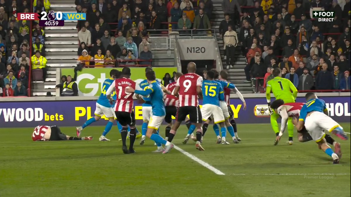 Wolves Actu France 🐺🇫🇷 tweet media