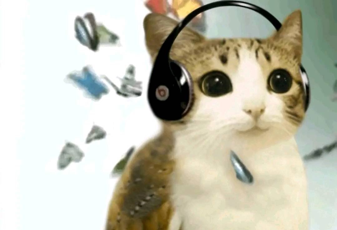 bra i just tried some Beyerdynamic dt 331 my mind blew up