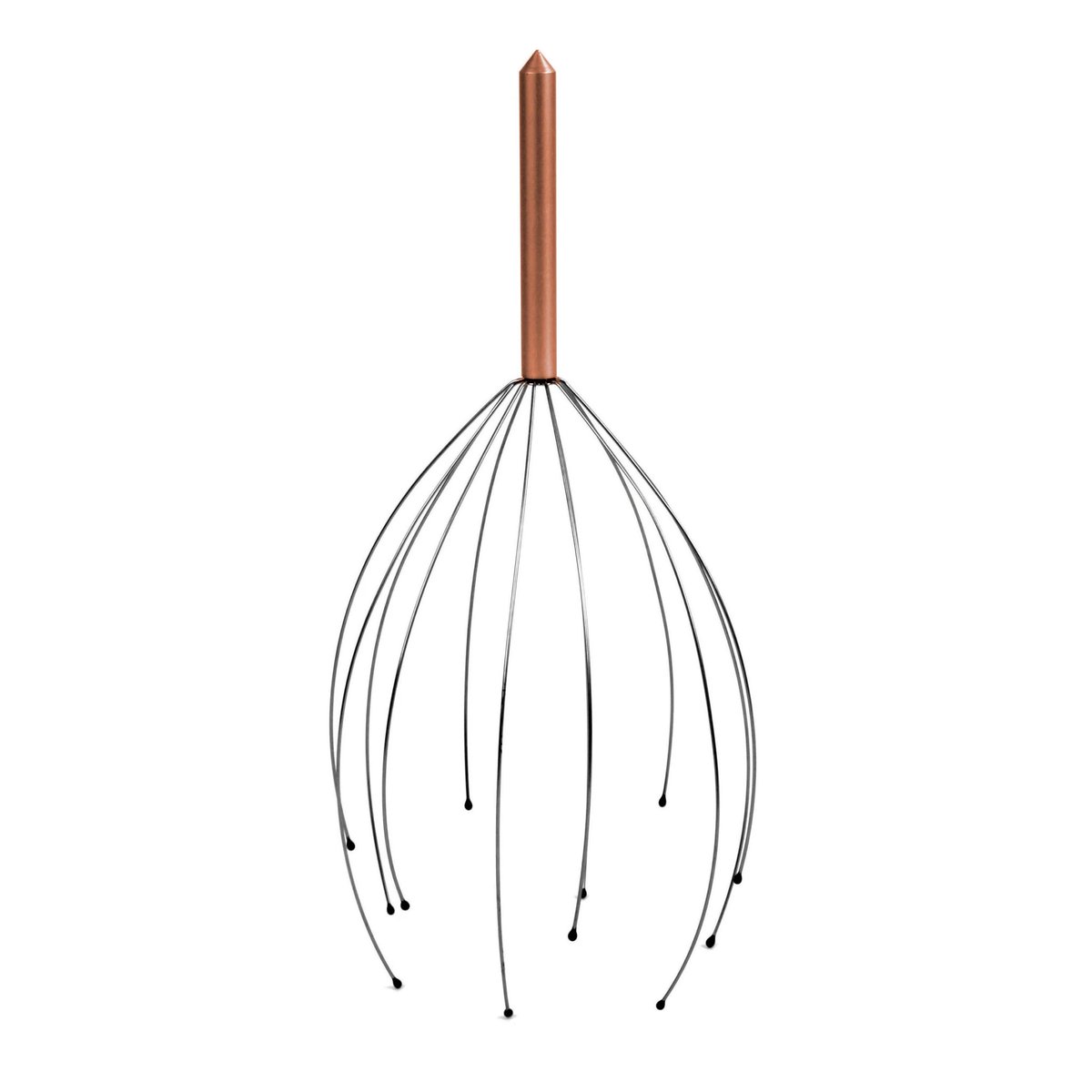 /𝐀𝐄𝐏/ 𝐙 🚀☀️🌴 tweet media