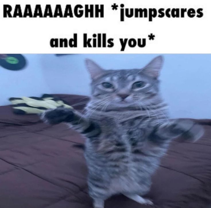 goldbonnie tweet media