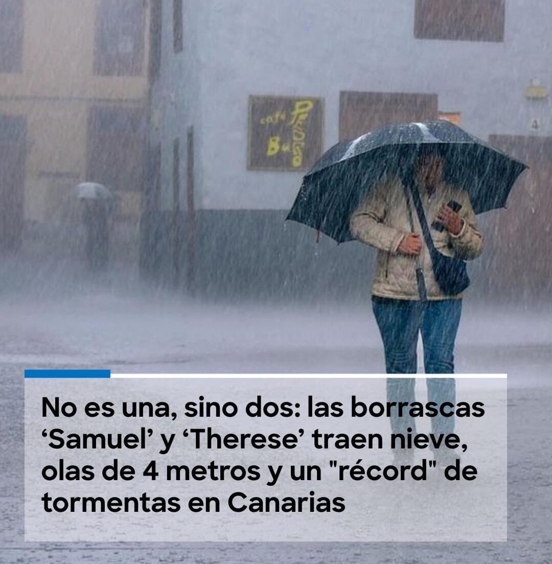 Fiosa de la lluvia tweet media