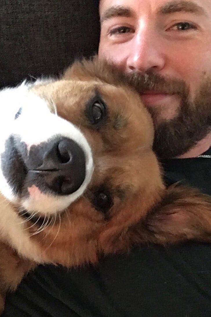 evan_drgdr's tweet photo. 🐶❤️ https://t.co/WAfHrjmudC