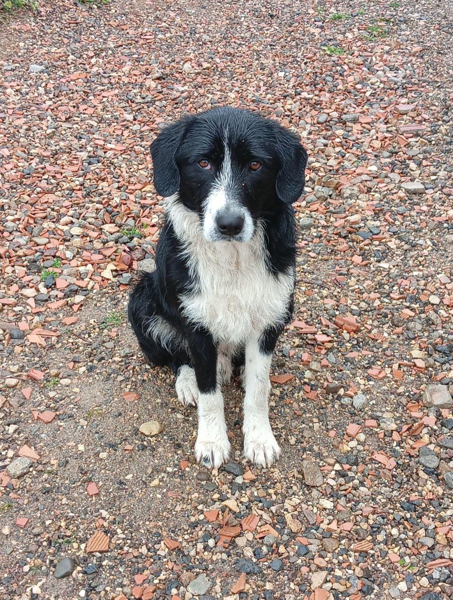 Zülal Kutluer tweet media