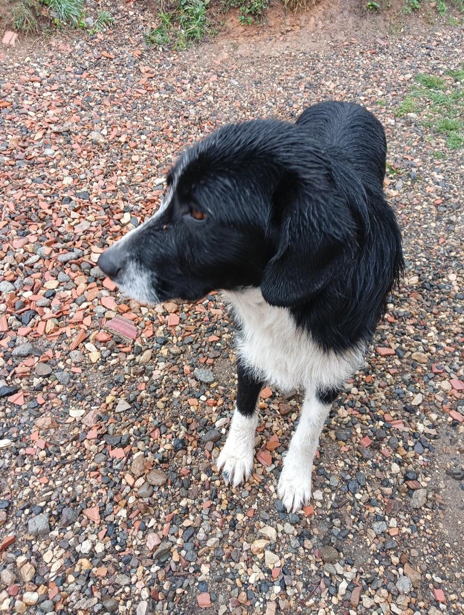 Zülal Kutluer tweet media