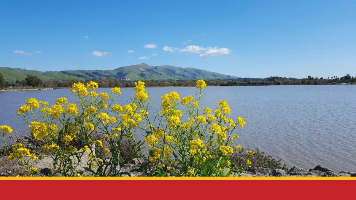 PublicCEO tweet media