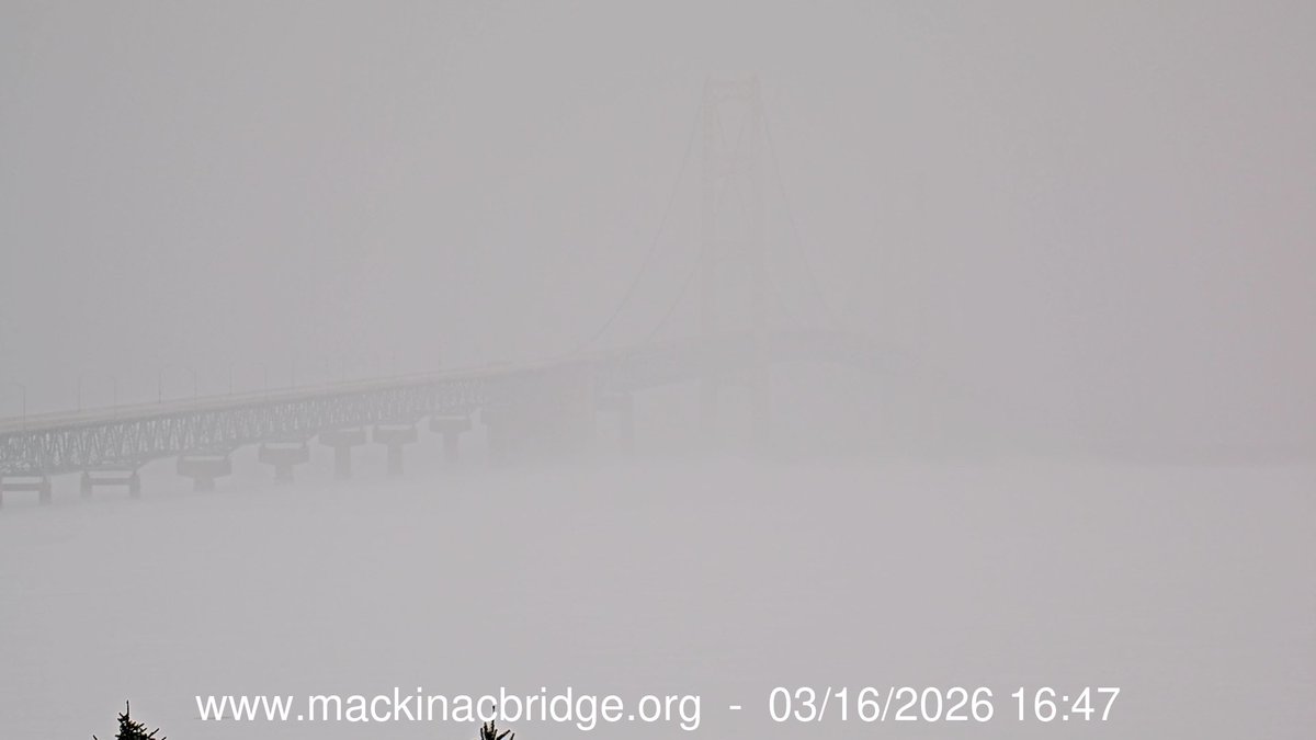 Tyler Sebree ⚡️ tweet media