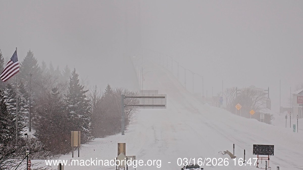 Tyler Sebree ⚡️ tweet media