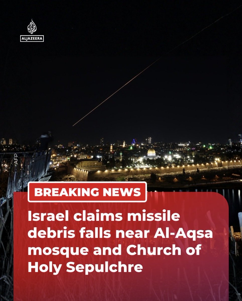 Earth Hippy 🌎🕊️💚 tweet media