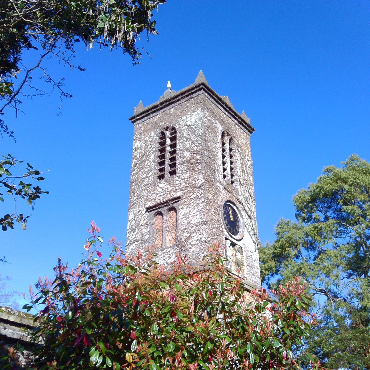 Went to a food market the Saturday before last. Touching grass is good for art. 
Motivated by the daylight.