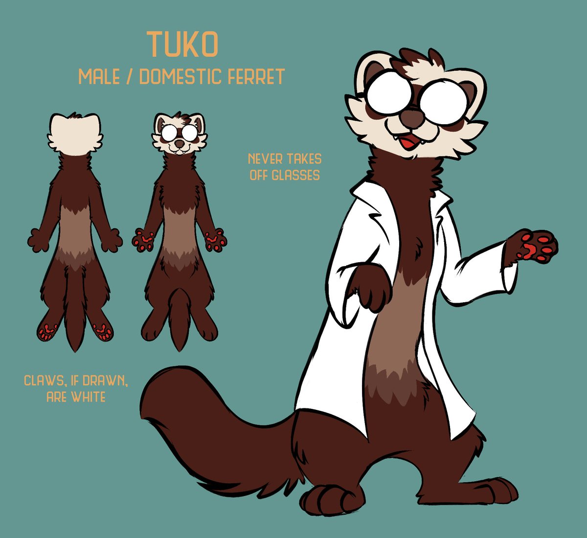 TukoFerret tweet media