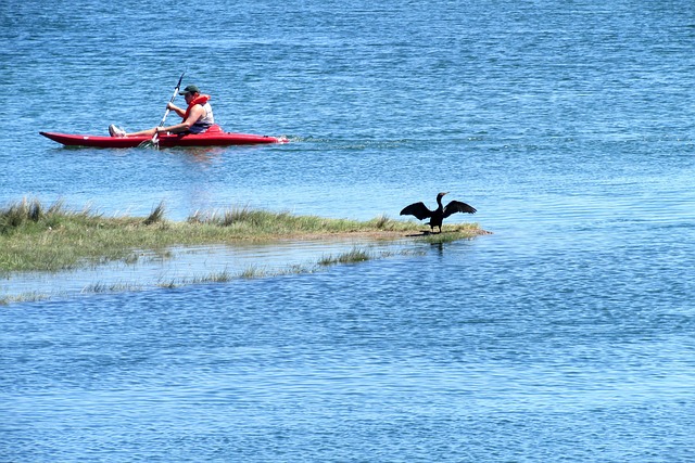 Michael Lopez tweet media