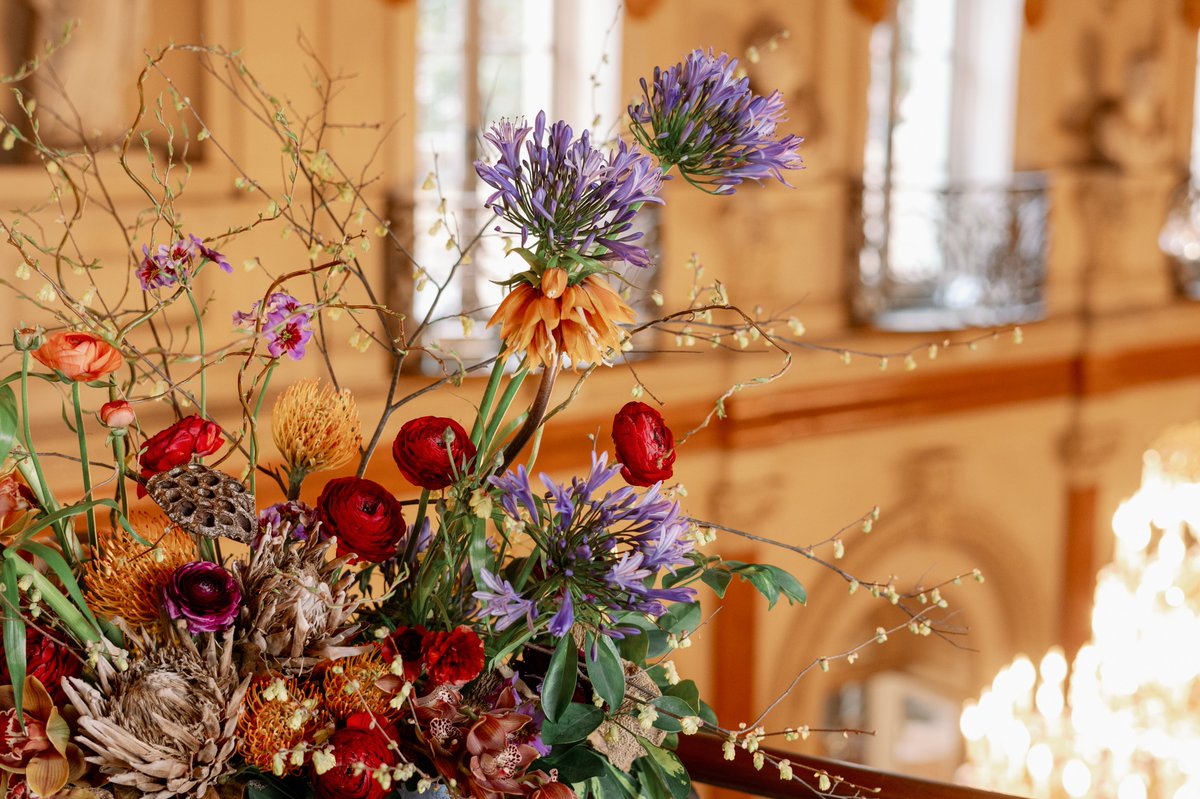 American Revolution Institute tweet media