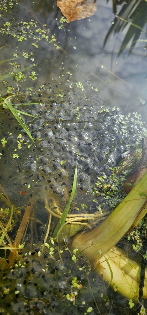 Katy Jon Went tweet media