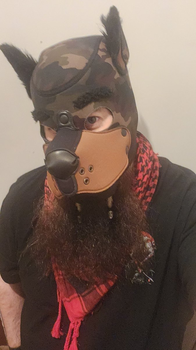 🏴󠁧󠁢󠁳󠁣󠁴󠁿Cyrus AD🏴󠁧󠁢󠁳󠁣󠁴󠁿 🔜 Scotiacon tweet media