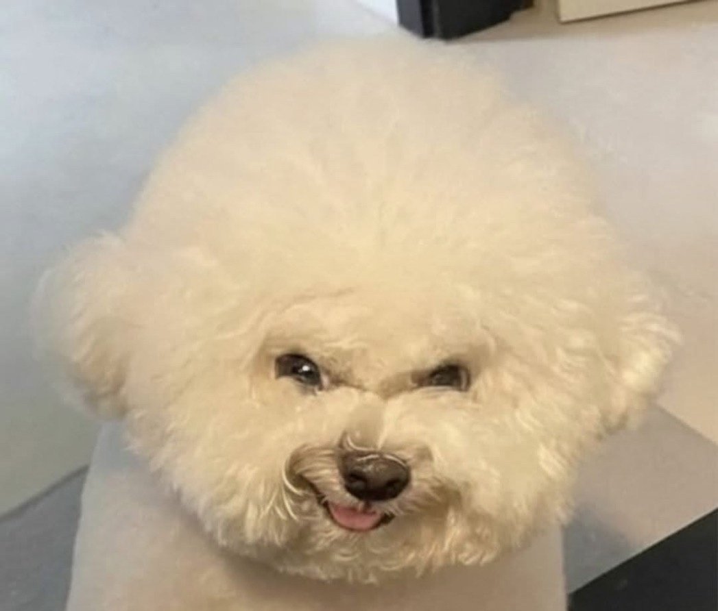 CalibanxTft tweet media