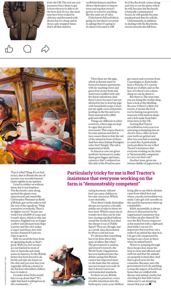 KATE EVANS tweet media