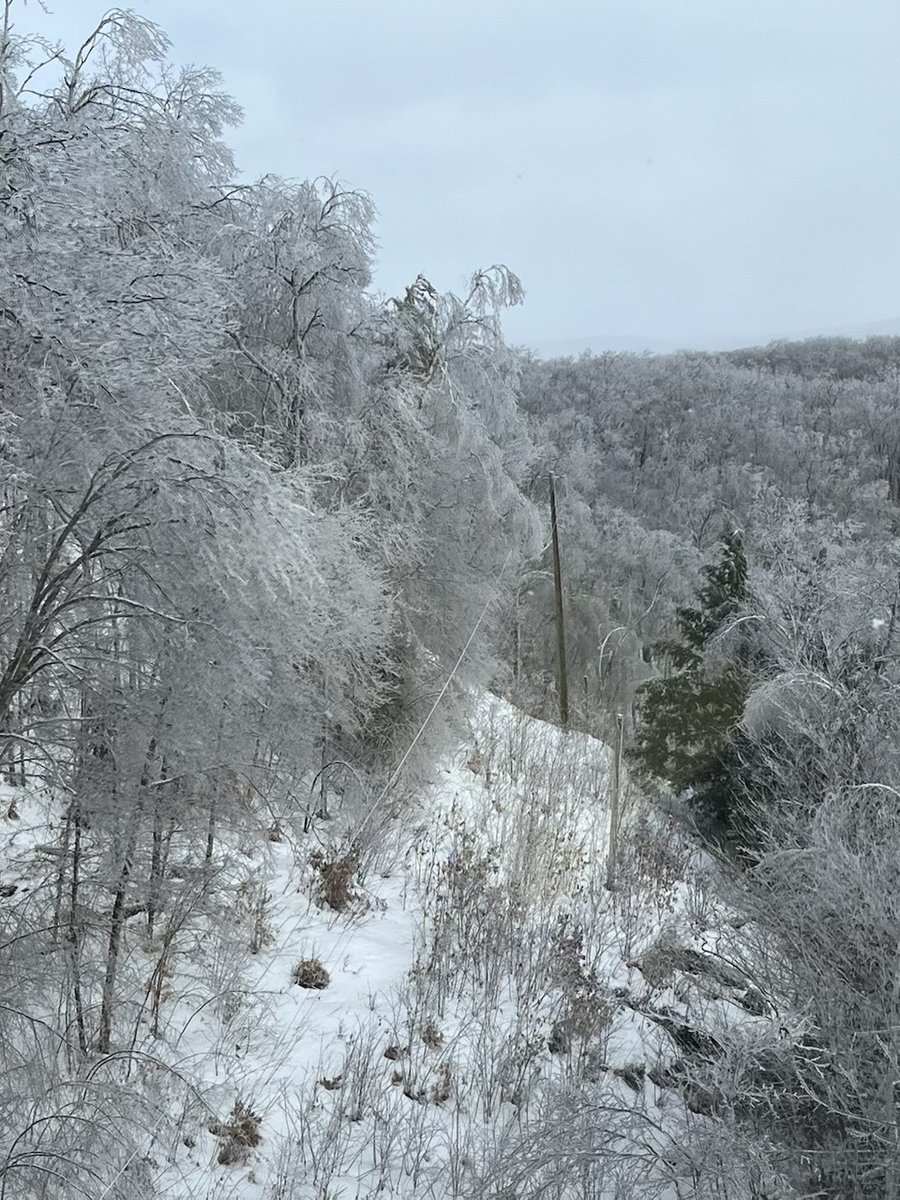 Hydro One tweet media