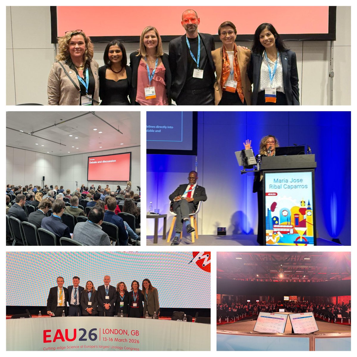 Maria J. Ribal tweet media