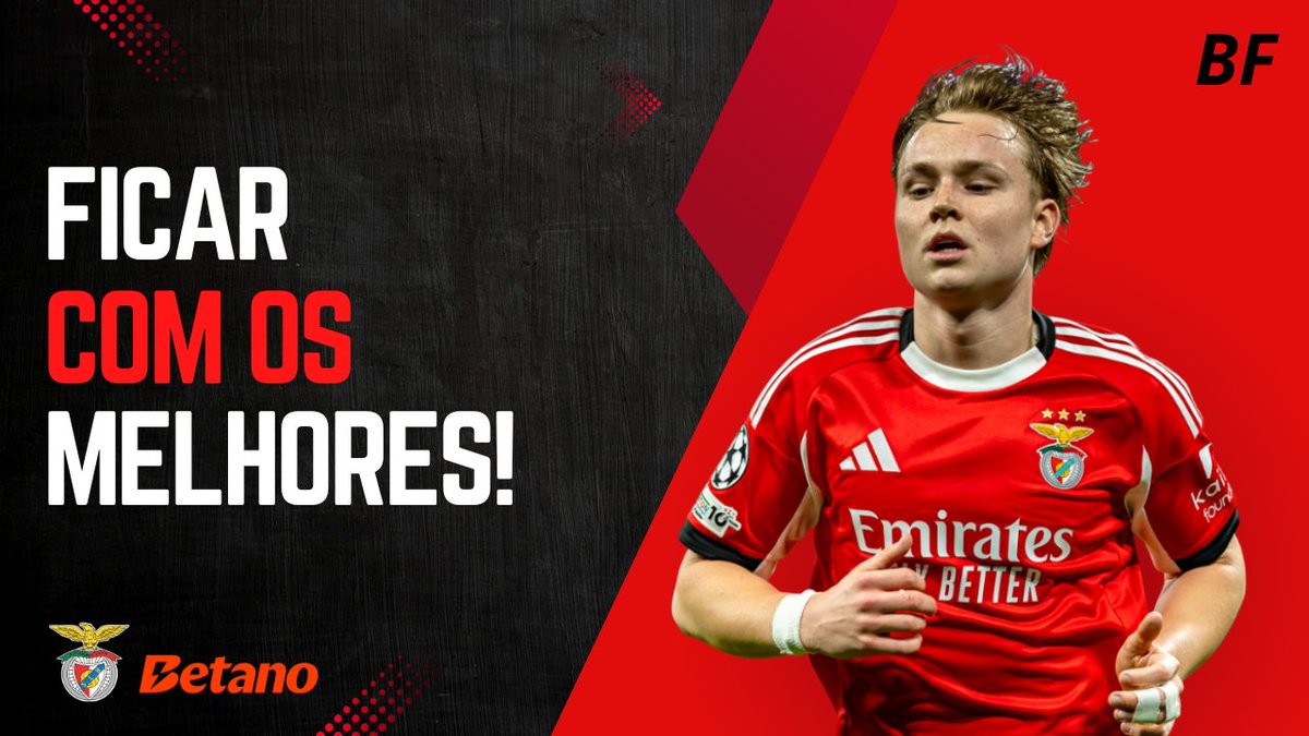 Bruno Francisco tweet media