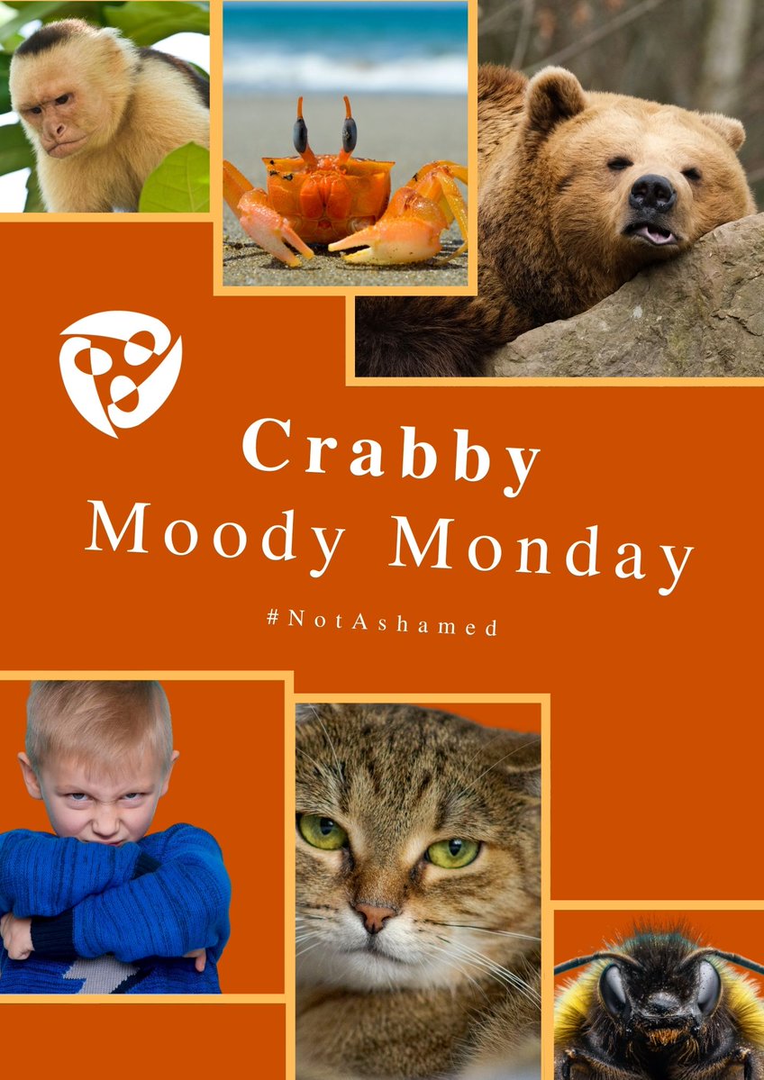 Bender Leadership Academy tweet media