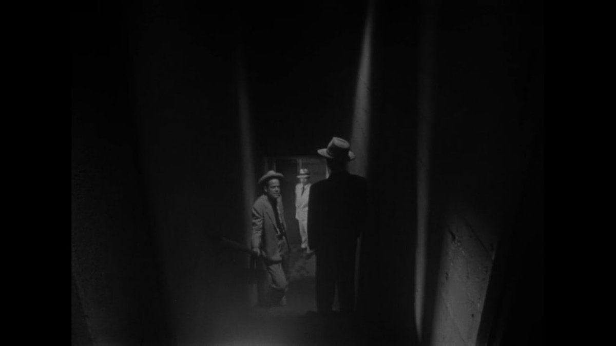 Werner Herzog's missing shoe tweet media