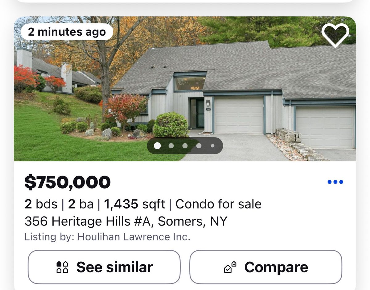 Born To Be Free tweet media