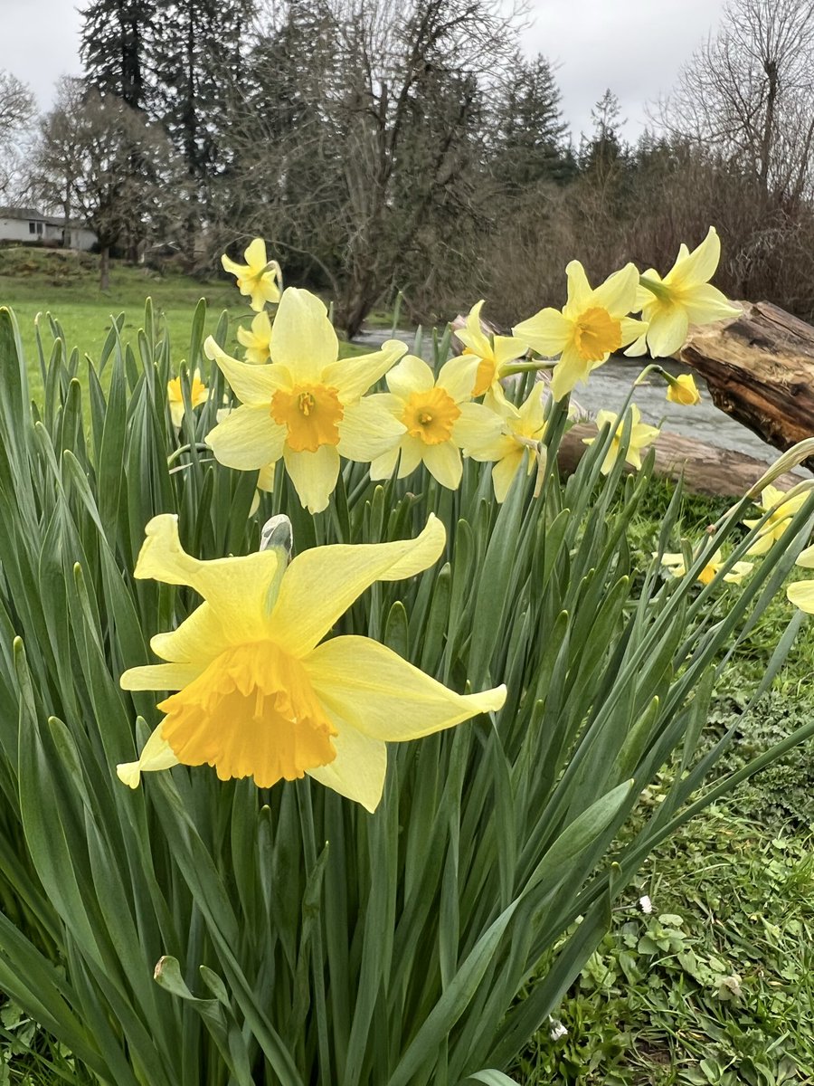 Just a Pilgrim tweet media