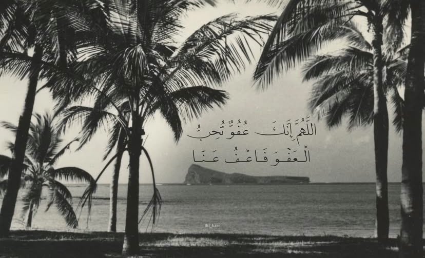 سَكَن tweet media