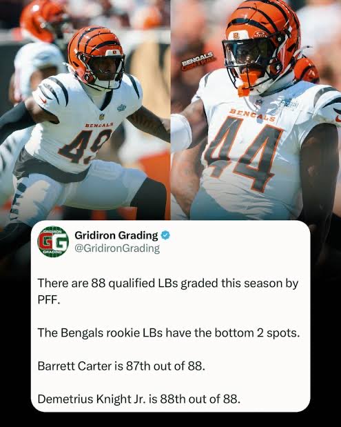 tomw23123's tweet photo. @bfkoast @UnderdogMLB @CharlieG__ Also forgot these are our linebackers https://t.co/eIrQikBkTu