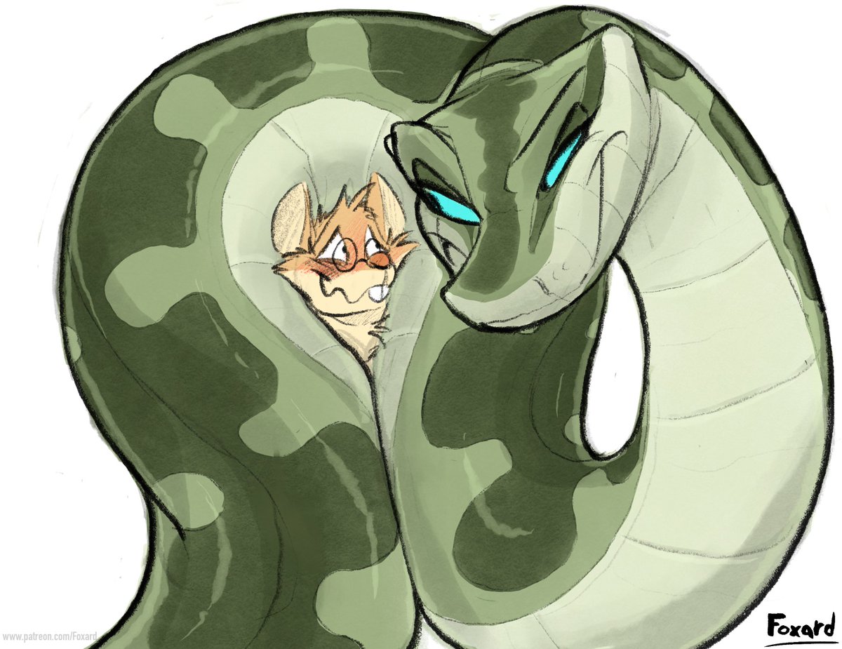 🐍🦊Foxard🦊🐍 🔜 TFF tweet media