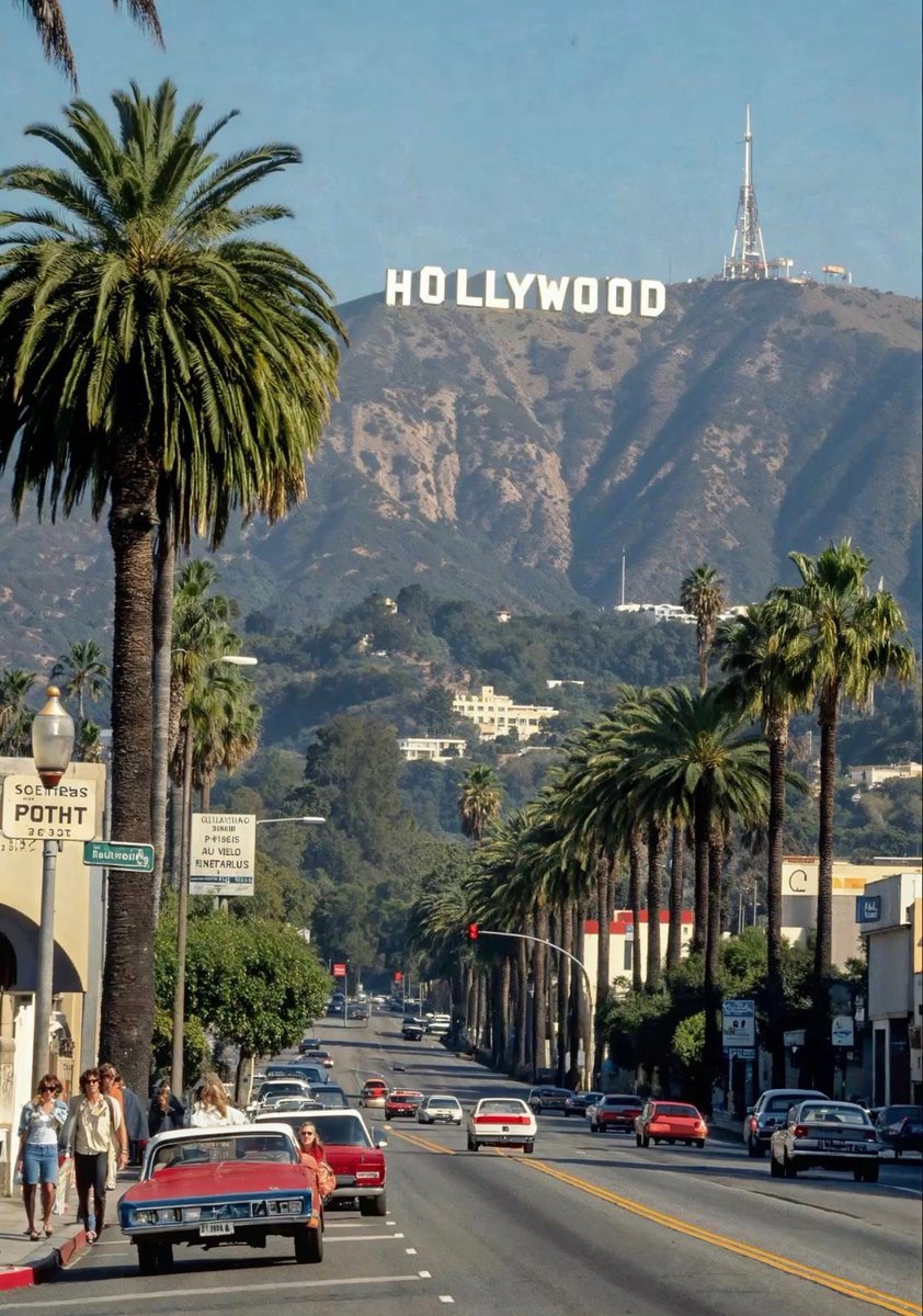 WORLD 2026 🌊 tweet media