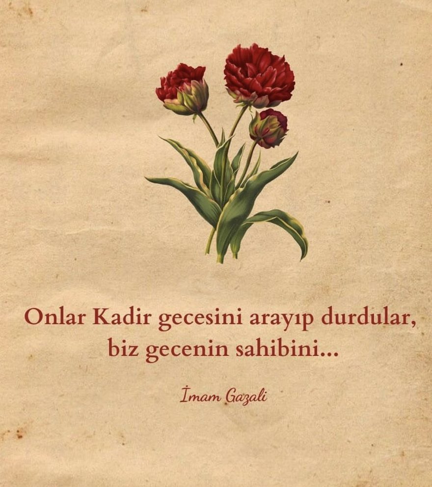 bihafız tweet media