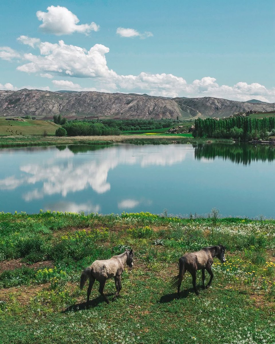 Gitmeliyiz tweet media