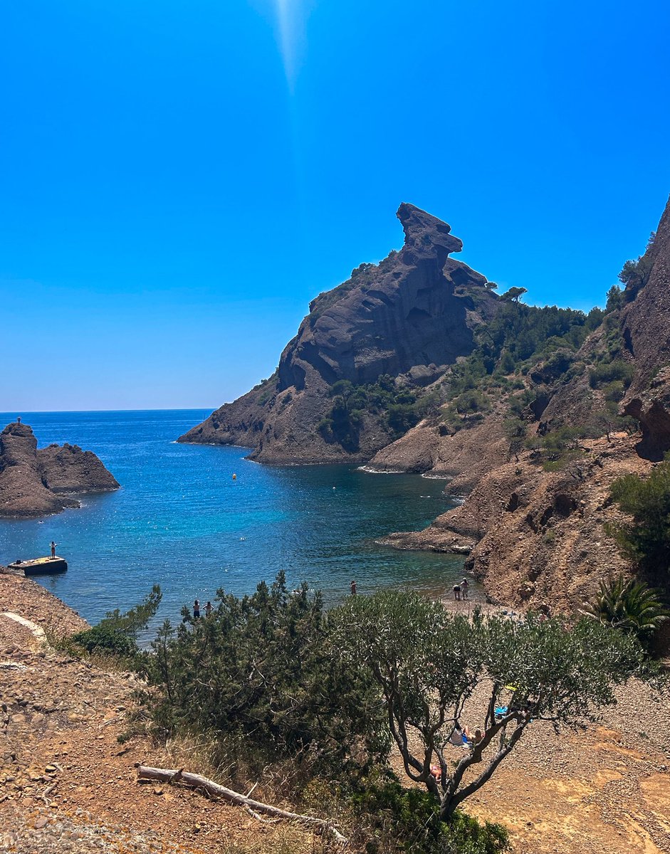 Globe Tucker tweet media