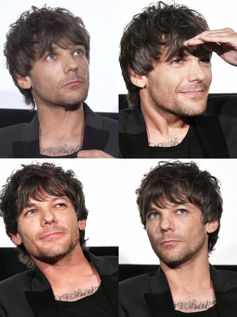 just louis tweet media