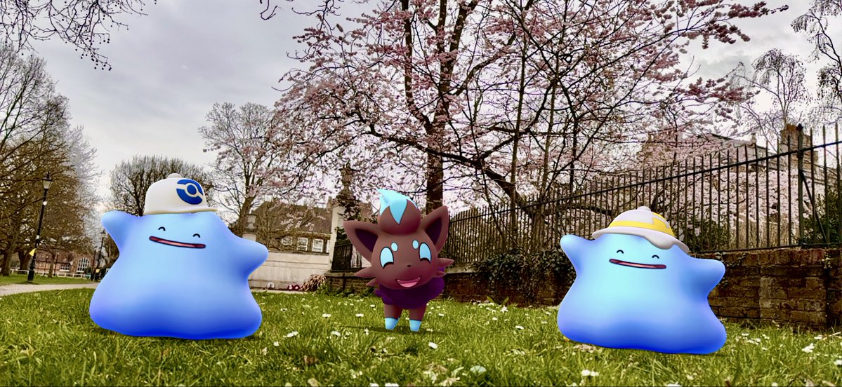 PoGoMiloUKYT tweet media