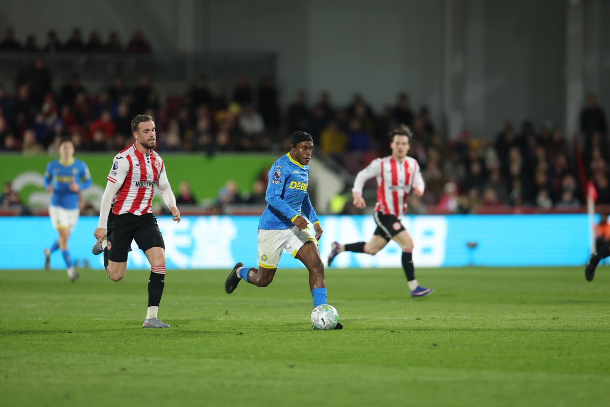 Young Wolves tweet media