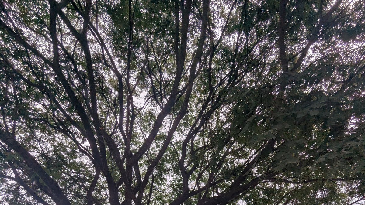 chels! ☻ tweet media