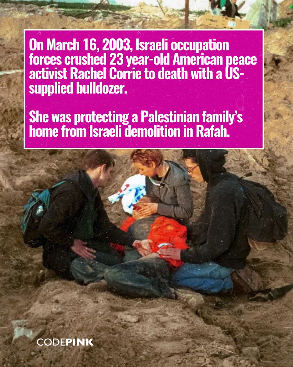 CODEPINK tweet media