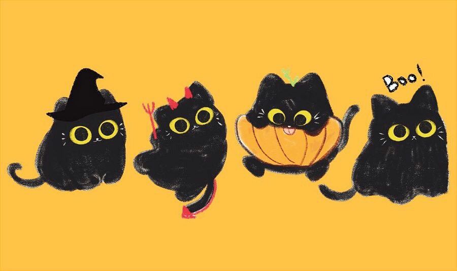 only cute things (@cutedreamvibes) on Twitter photo 