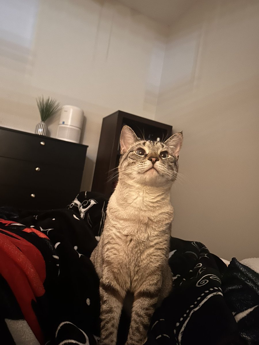 Beanie | $6 OF tweet media