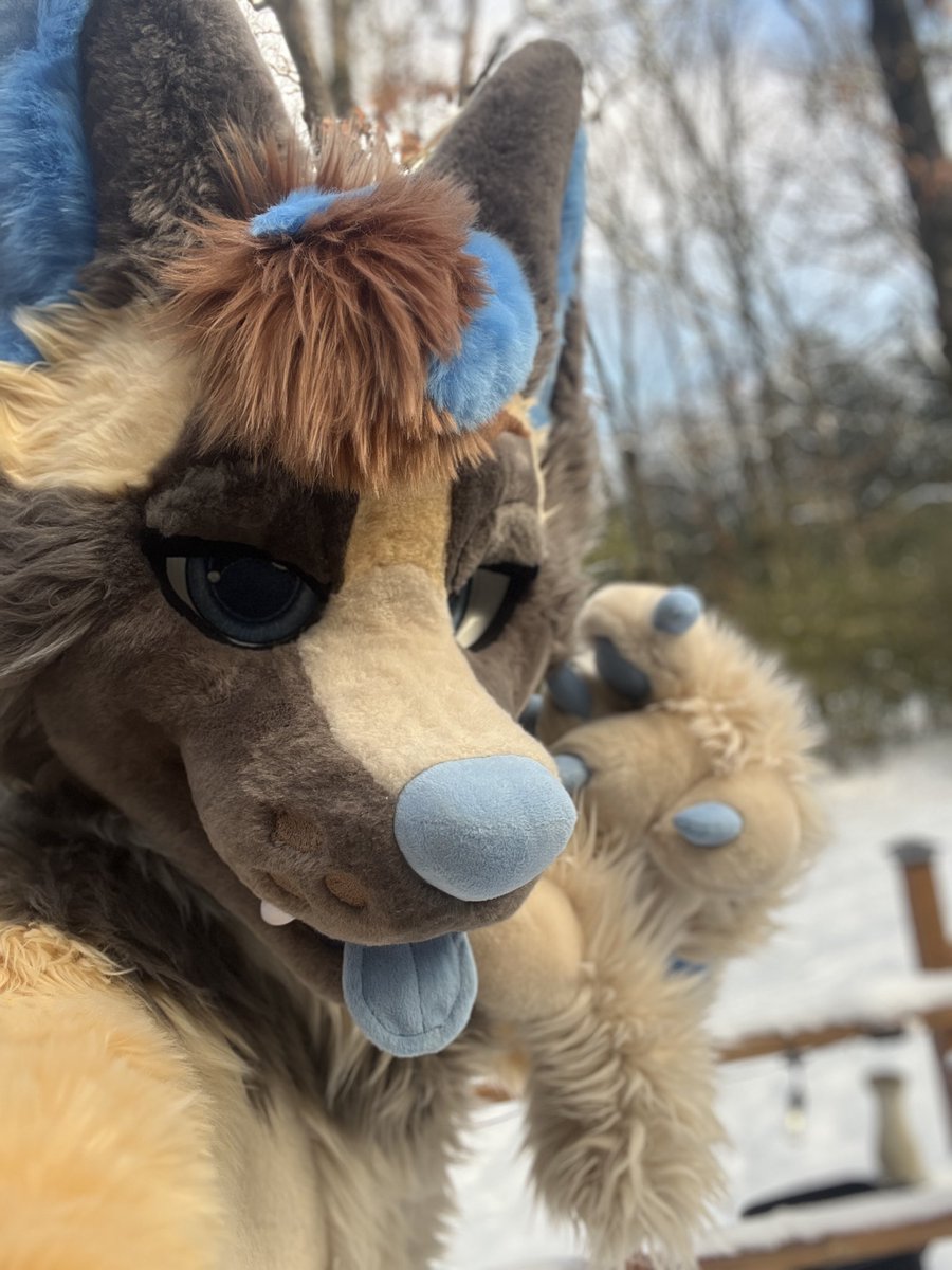 BeatTheDoggo🐶🔜TFF tweet media