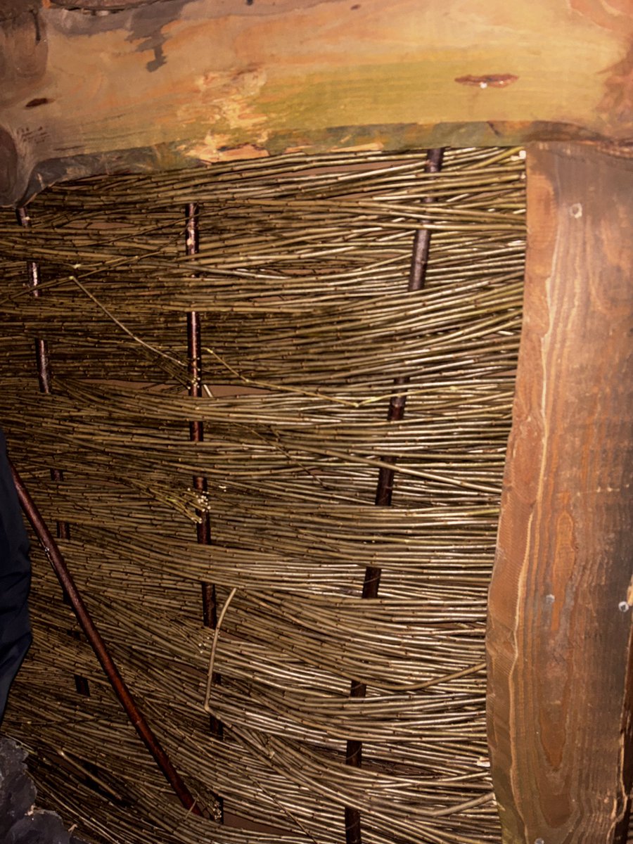 rick 🎢🎡🎟️ tweet media