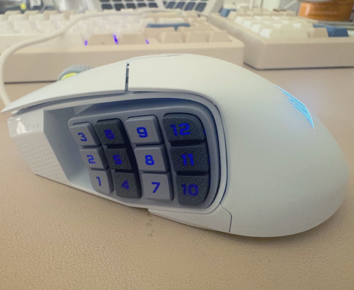 𝙺𝚒𝚛𝚊 🖋️🦅 | ENVtuber | Power Secretary tweet media