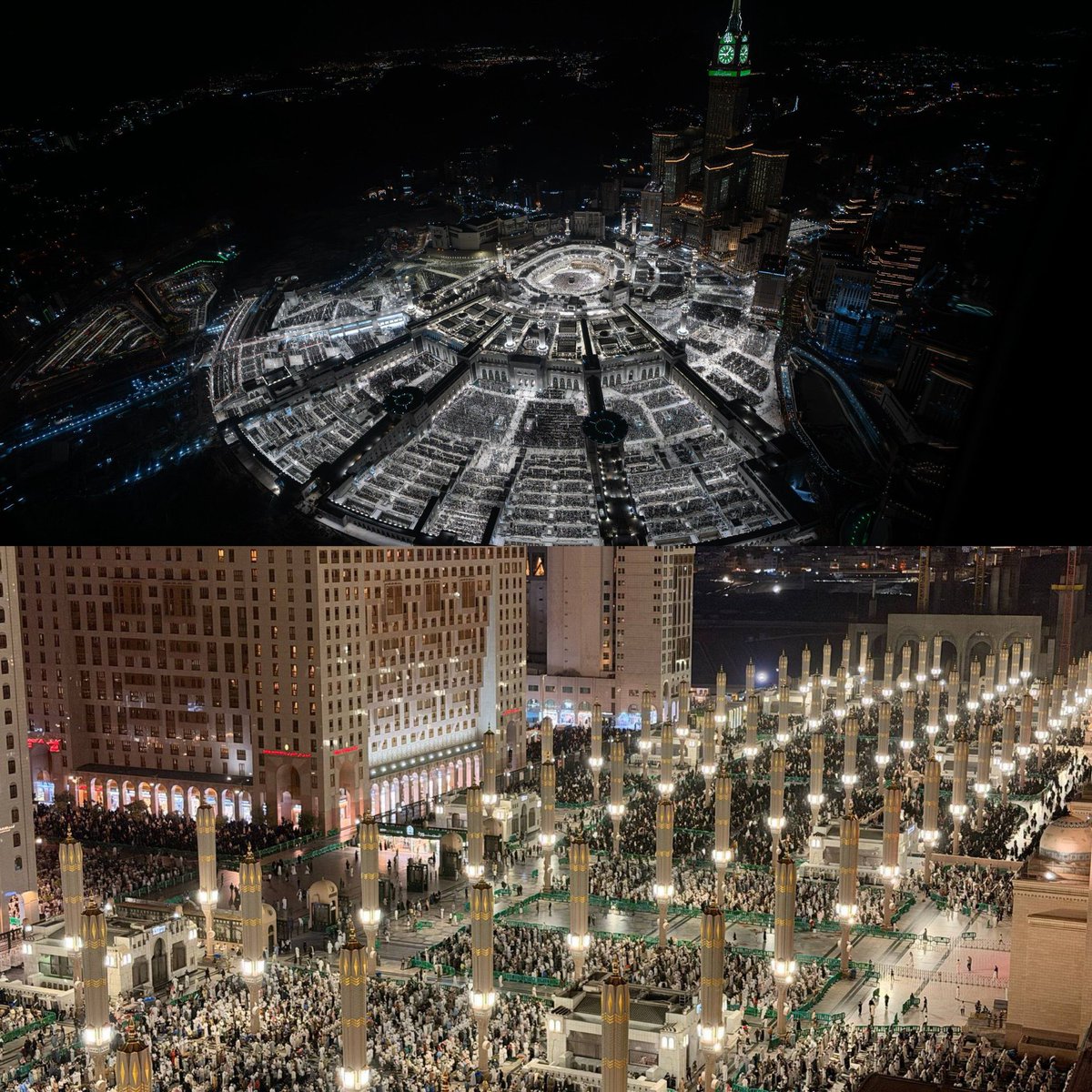 The Holy Mosques tweet media
